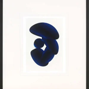 Slika – “Blue Velvet”