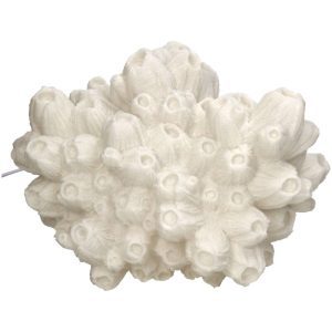 Lampa // "Coral Lotus"