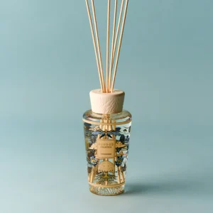 Difuzer - "Tommorowland 2026"