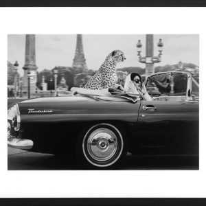Slika – “Photo d'Art : In Paris“