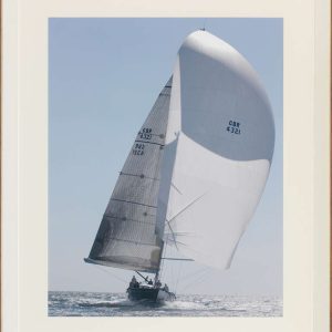 Slika – “Regatta - Full Steam“
