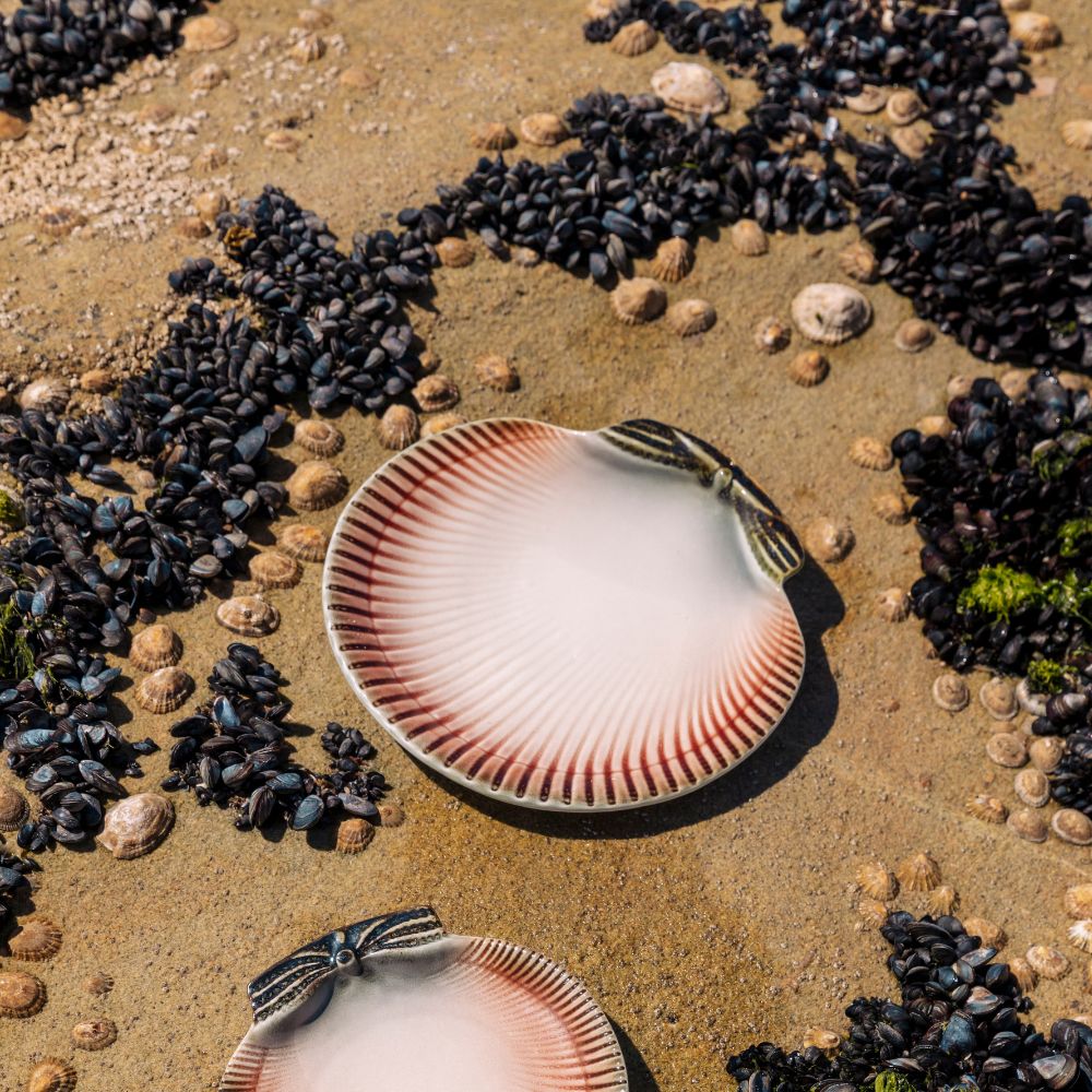 Tanjir dezertni - Oysters and Scallops - Slika 2
