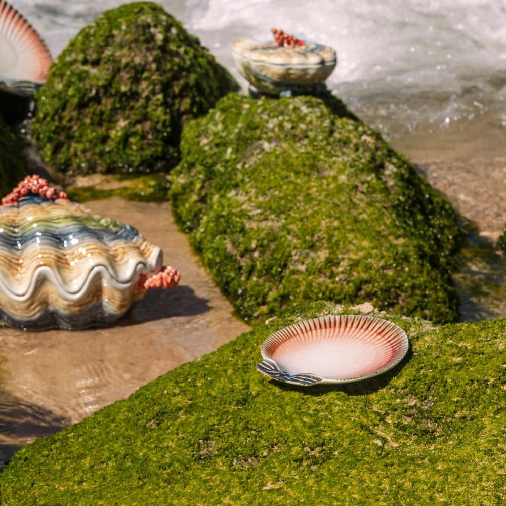 Tanjir dezertni - Oysters and Scallops - Slika 3