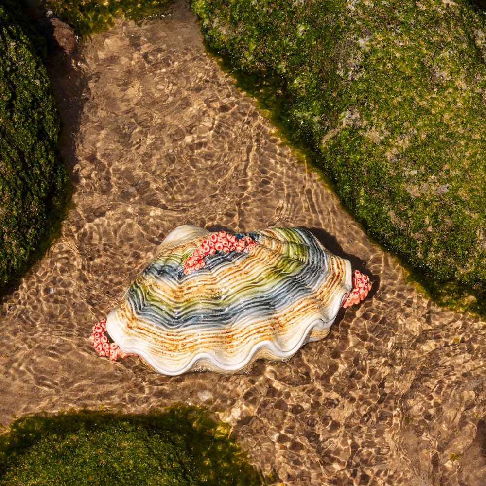 Supijera - Oysters and Scallops // 1,5L - Slika 4